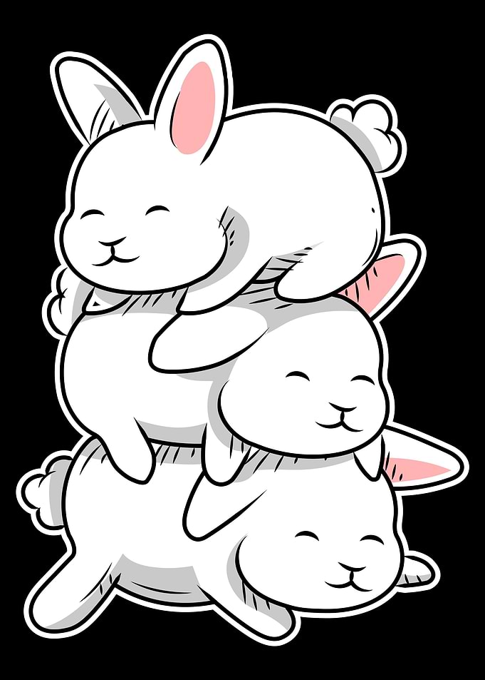 Kawaii Bunny Anime Lover