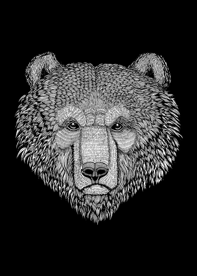 Bear Drawing