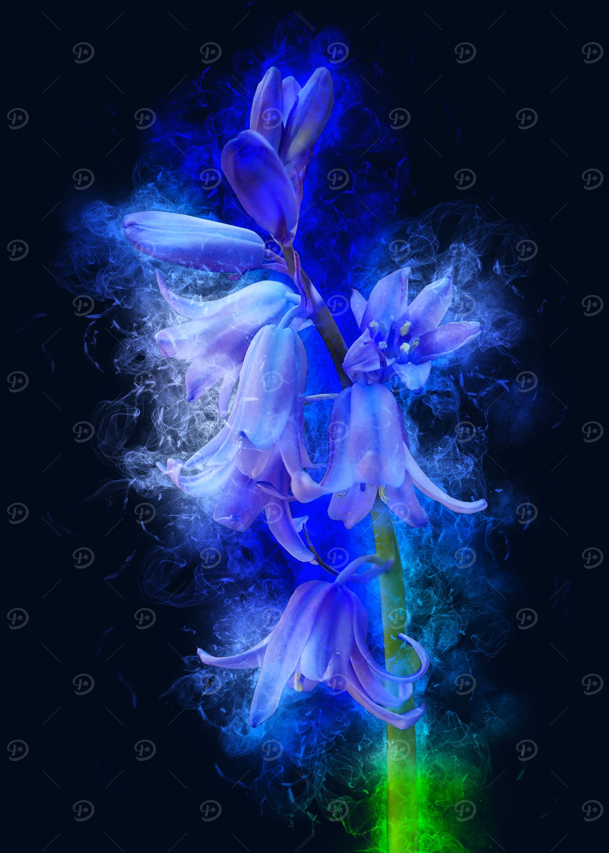 Bluebell flower smoky