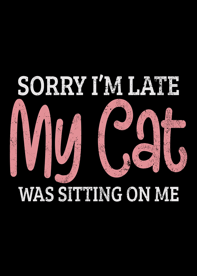 Cat Kitten Late