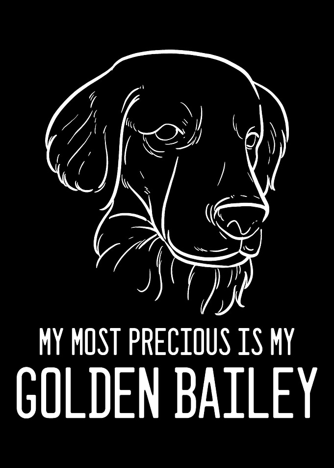 Golden Retriever Bailey Pe