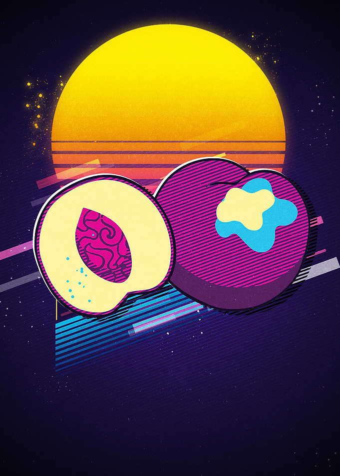 Nectarines