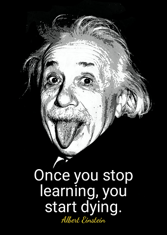 quotes albert