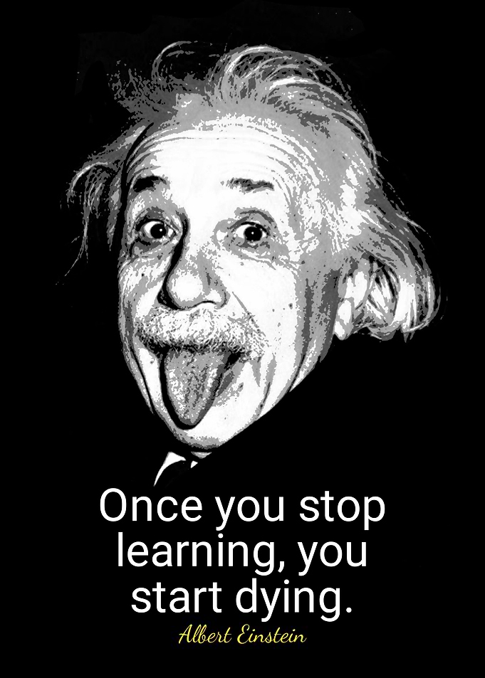 quotes albert