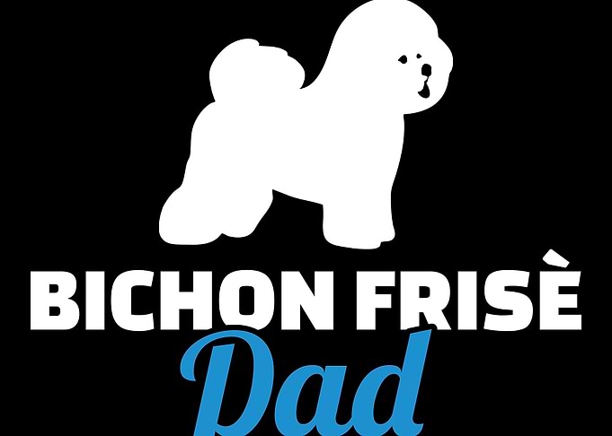 Bichon Frise