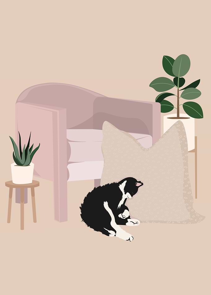 SLEEPING CAT