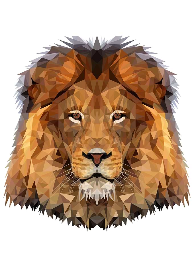Lion the king