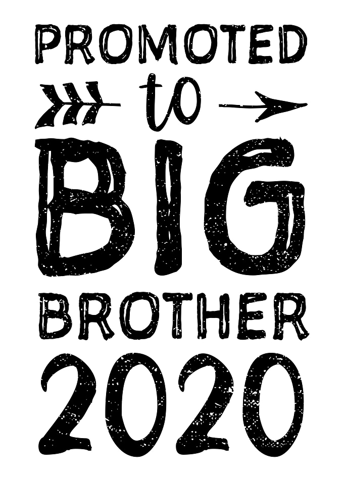 Promoted To Big Brother 20