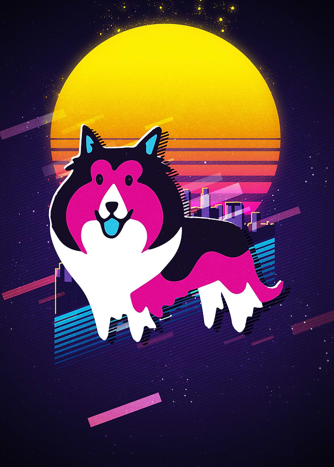 Shetland Sheep Dog