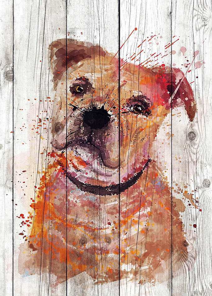 Bulldog