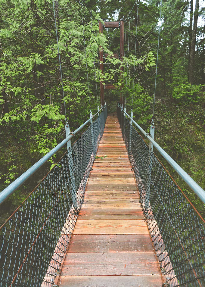 Suspended wooden Bridge