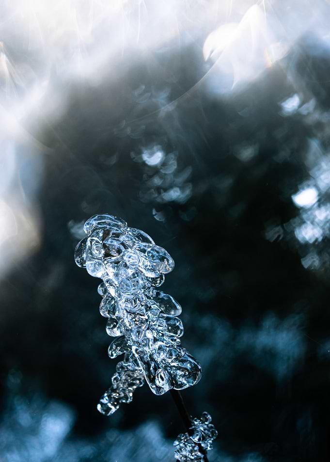 Macro Frozen Landscape 02