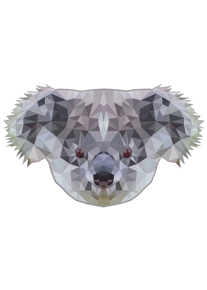 Koala poly