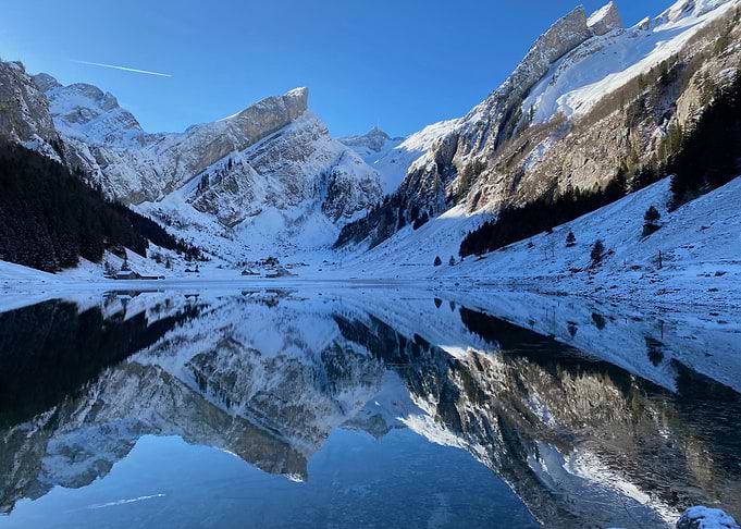 Appenzell Mountain Swiss