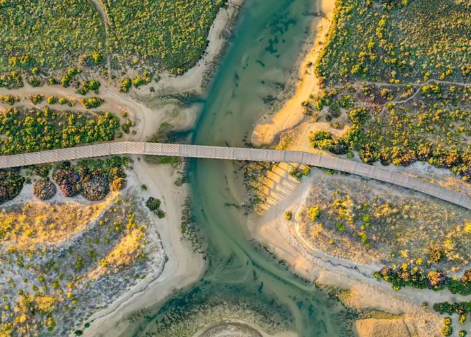 bridge from top