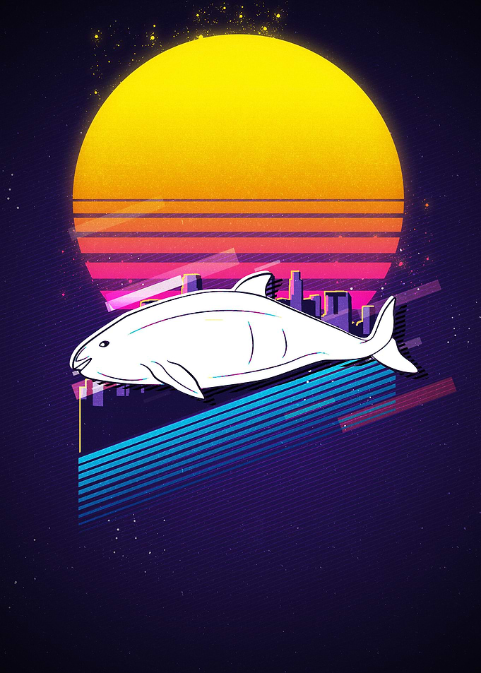 Vaquita