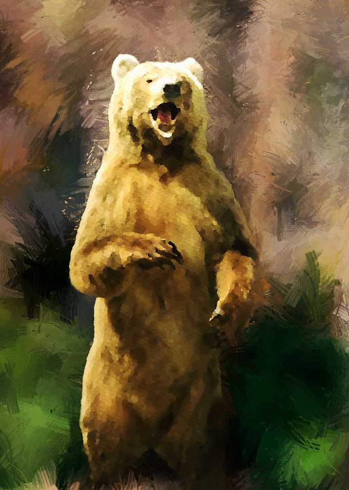 Bear Standing