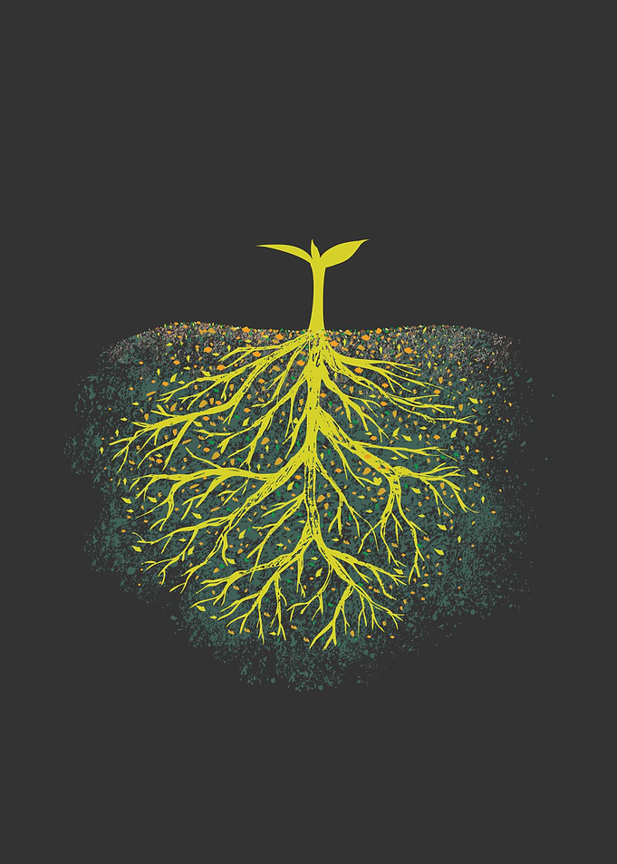 Inverted Tree
