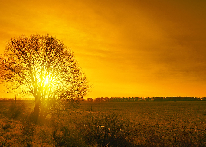 Agriculture Alone Autumn C