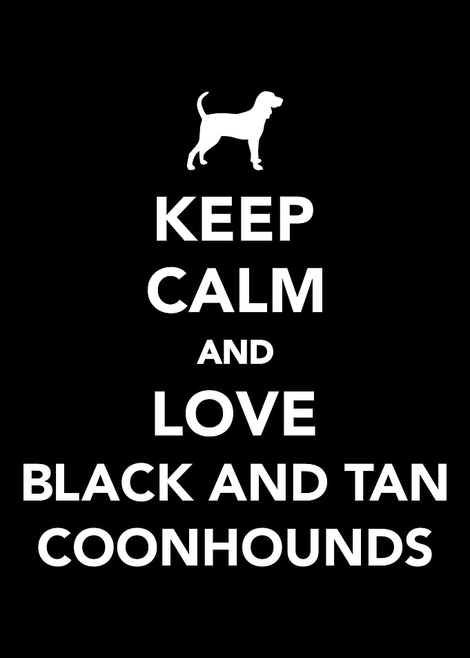 Black and Tan Coonhound