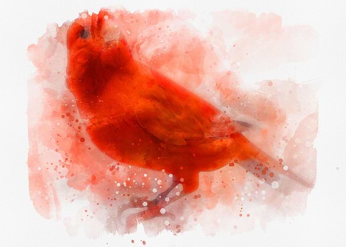 Cute LoveBird