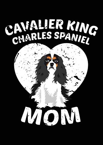 cavalier king charles span