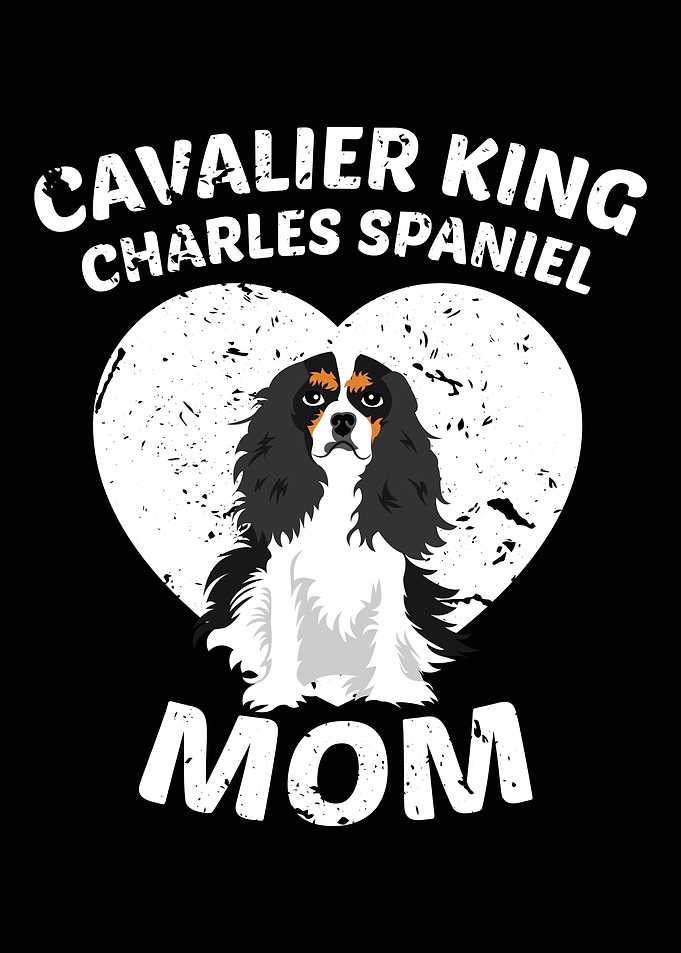 cavalier king charles span