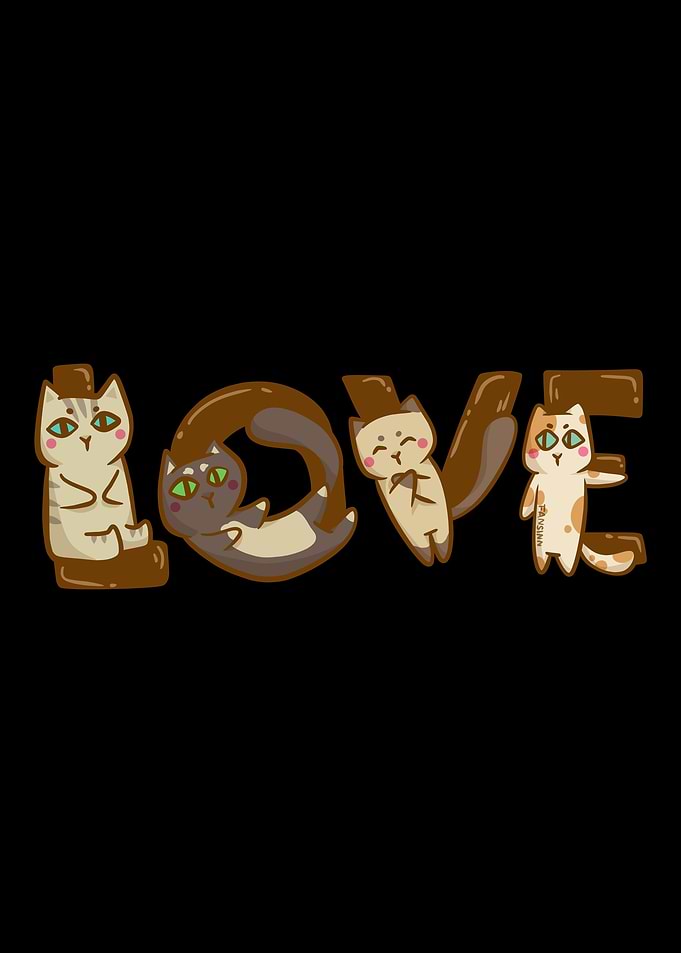 funny cat Love pet coat gi