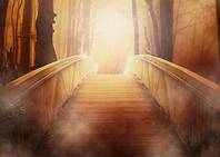 Mystischer Wald