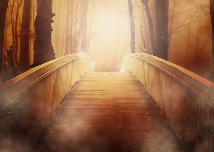 Mystischer Wald