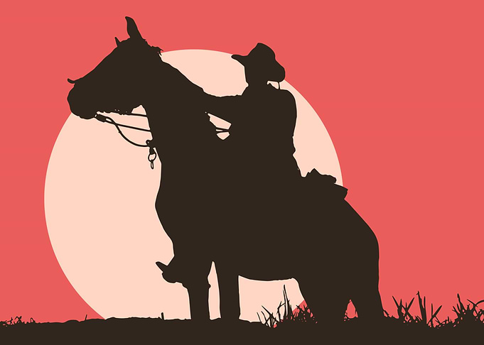 Pferd im Sonnenuntergang