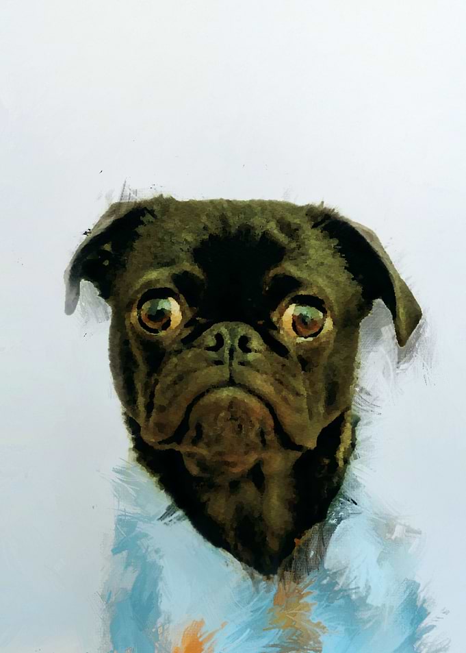 Cute Dog Abstract