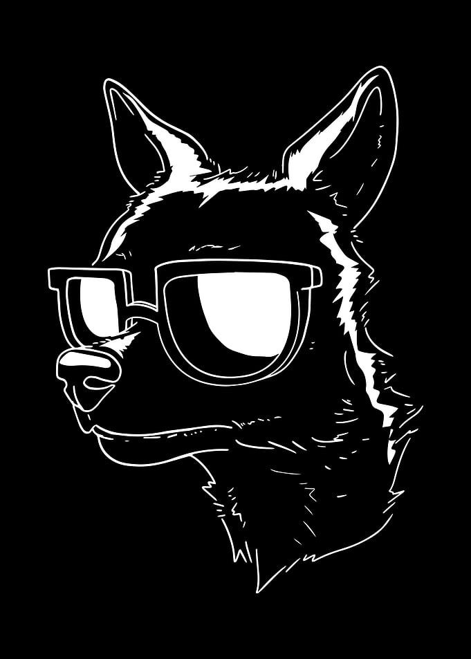 Chihuahua Dog Sunglasses