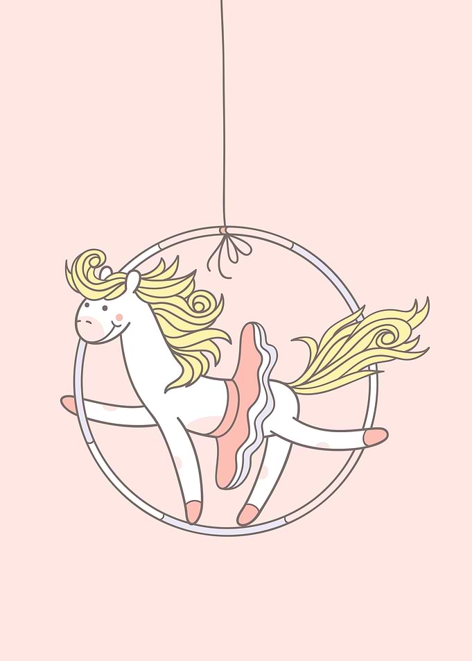 Circus Aerial Hoop Pony