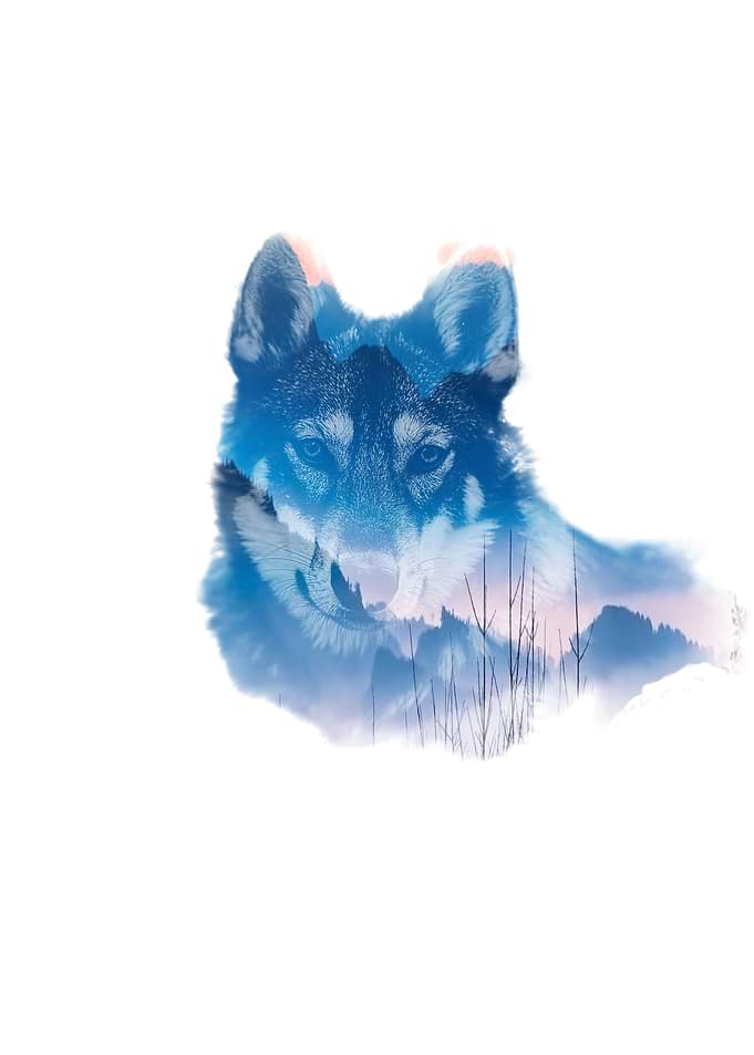 Wolf Double Exposure