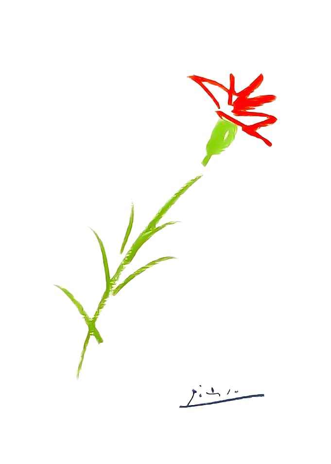 Pablo Picasso Flower