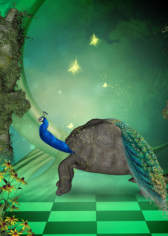 Awesome turtlepeacock