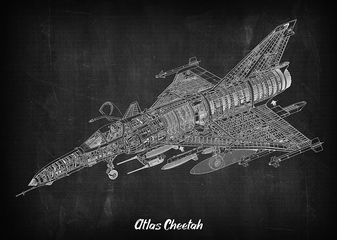 Atlas Cheetah