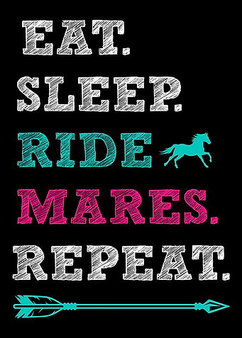 Mare Horse Horseman