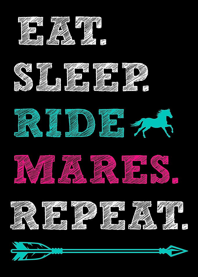 Mare Horse Horseman