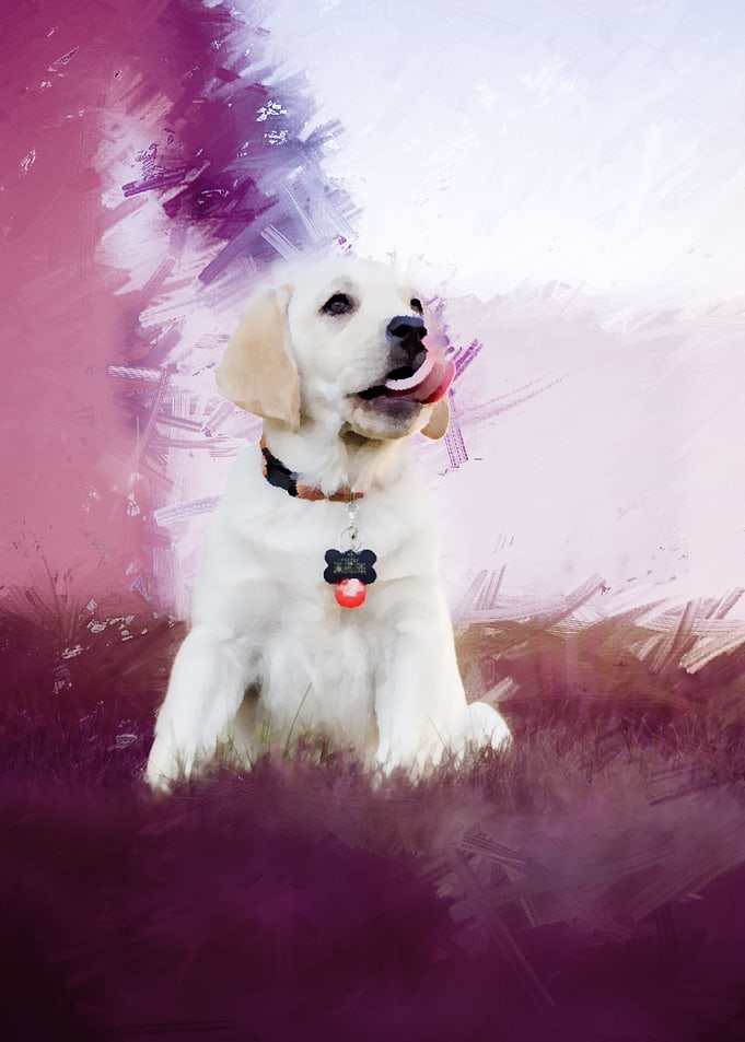 Puppy Licking Lips