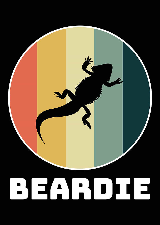 Bearded Dragon Funny