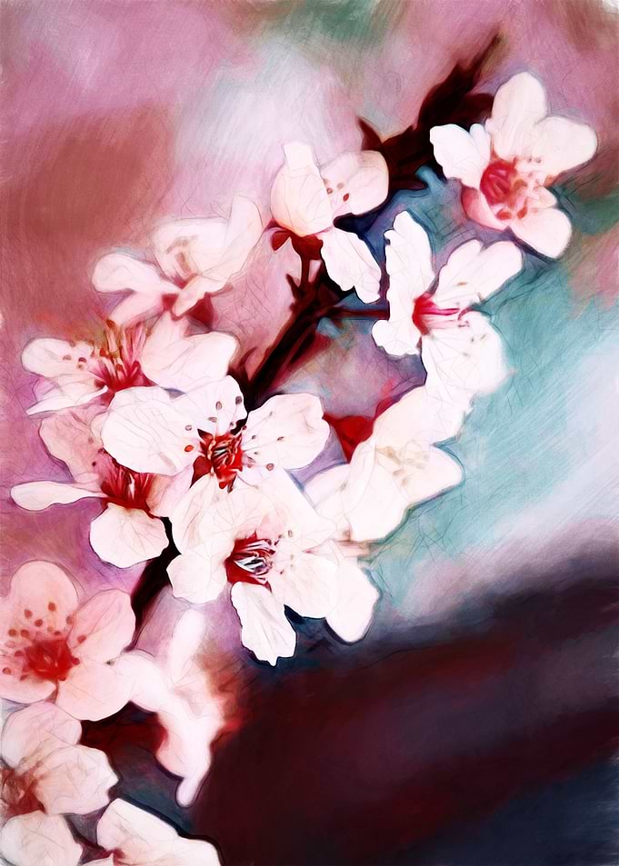The blossom