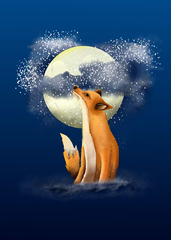 The fox illustration