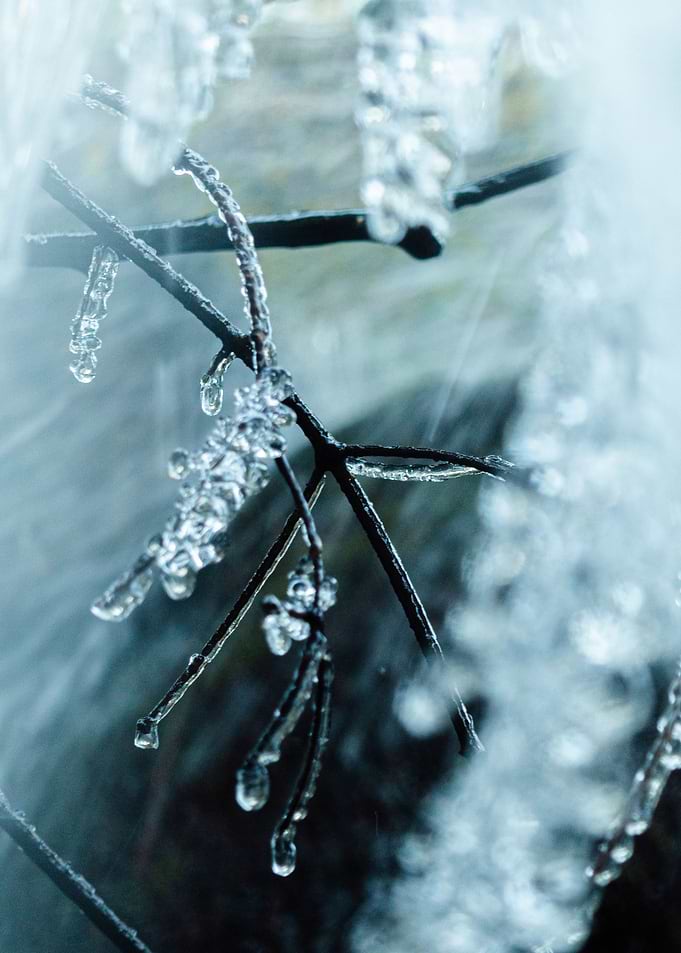Macro Frozen Landscape 03