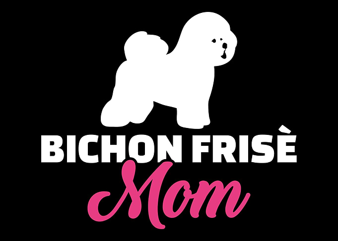 Bichon Frise