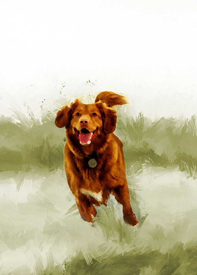 Dog in Water Abstract