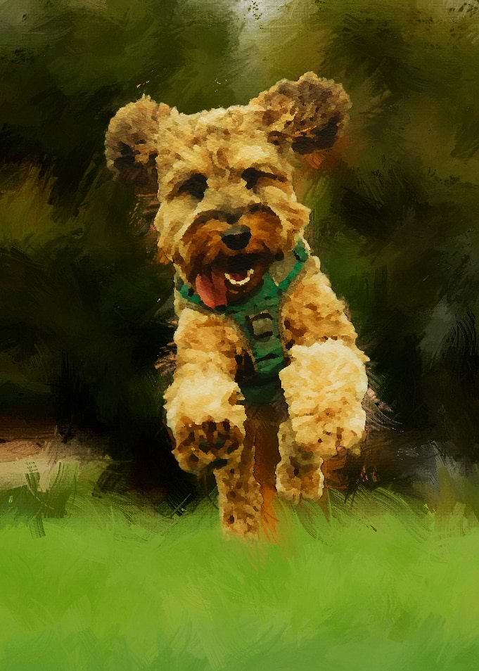 Adorable Jumping Puppy