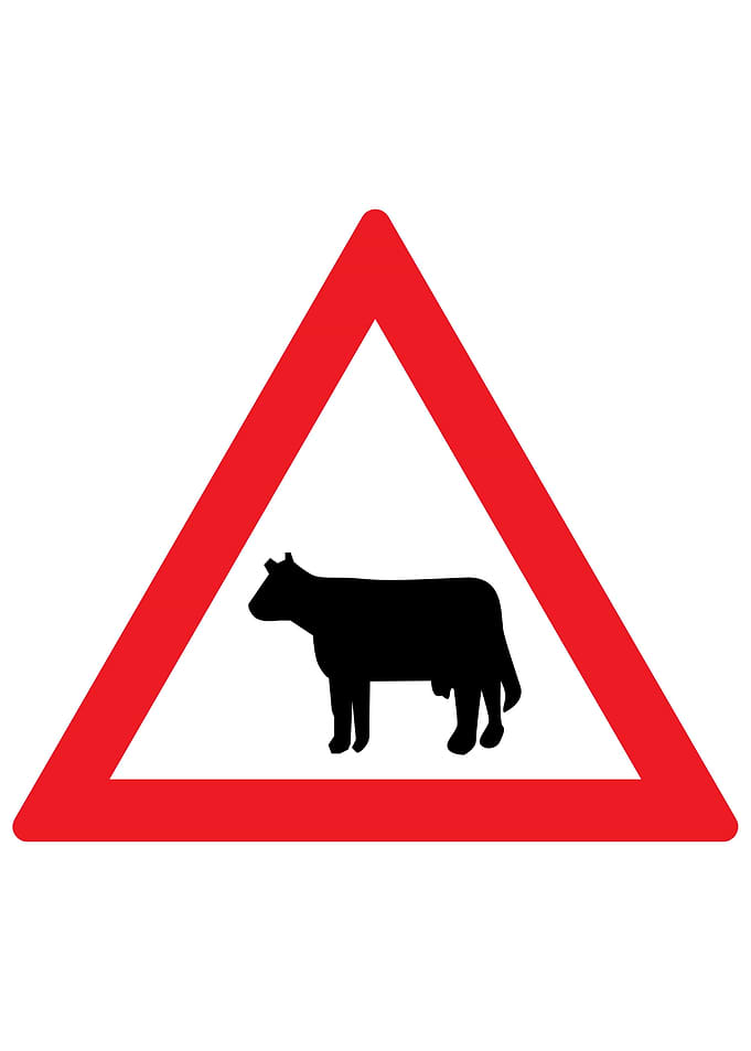 Romanian Road Sign