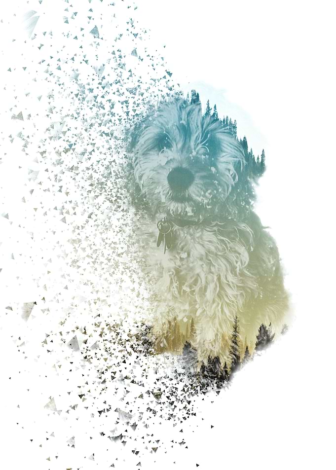 Nature Dog